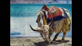 TOP 10 SOLO TRAVEL DESTINATIONS IN INDIA: Aerial Odysseys