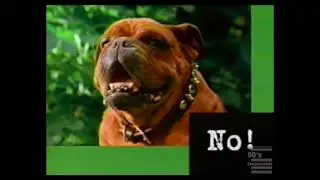 Red Dog Beer Colors commercial 1995