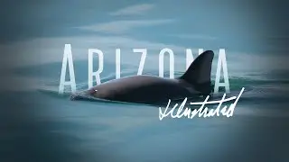 Arizona Illustrated Special: La Vaquita