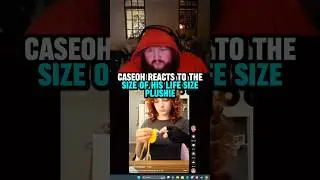 CaseOh reacts to the size of his life size plushie #caseoh #caseohgamestwitch #caseohfunnymoments