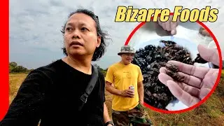 Life with a Cambodian Deportee - VILLAGE MARKET (Episode 2)