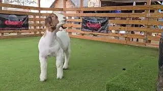 1378