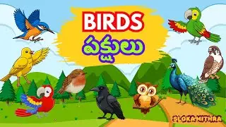 Bird Names in English & Telugu | 25 Birds Learning Video for Kids | Slokamithra