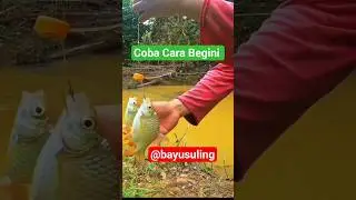 #tutorial #mancing #sungai