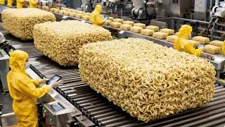Inside a High Speed Instant Noodle Factory Producing Millions Every Day