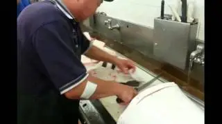 Seijisan vs. Northern Halibut at Quality Seafood