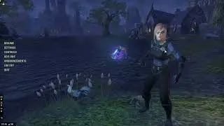 ESO Daily Endeavors Kill 10 Chitinous Foes Locations - Mudcrab | Short Guide #endeavors #chitinous