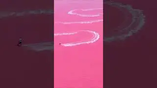 Being seen by someone looking at the pink sea is really a super romantic and happy thing. #shorts