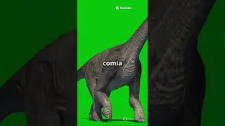 Unaysaurus: O Guardi&atilde;o Pr&eacute;-Hist&oacute;rico do Vale do Rio do Sul !!!