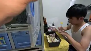 Hand feeding baby birds