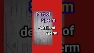 structure and function of Sperm and their parts || human sperm diagram | #shorts#ytshorts हिंदी में