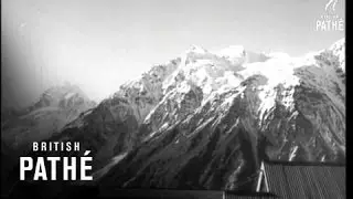 New Zealand Artist (1961)