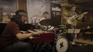 Organ Treeo -  A Wrong Version of 