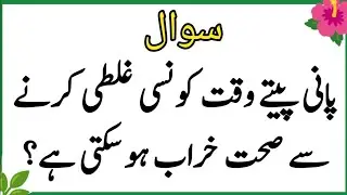 Top Islamic QuestionsAnswers - Islamic Puzzles-Islamic Sawal Jawab-UrduQuiz Islamic Quiz | Gk