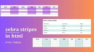 Zebra Stripes in html/ 15th class