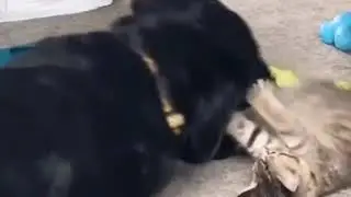 - Здоровяк, выходи на честный бой! - Big guy, go out to a fair fight!