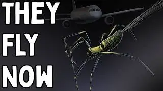 6 Animals You Never Knew Could Fly (and wish couldn't)