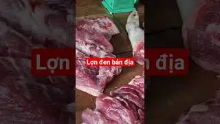 lợn đen bản địa#londen #lonmethod