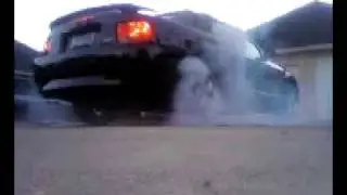 mustang burnout