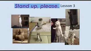 Grade 3- Stand up, please - Look and Say (Video)
