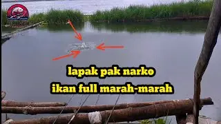 ​lapak bawah jurang toleh tidak pernah bikin kecewa | bonklopo