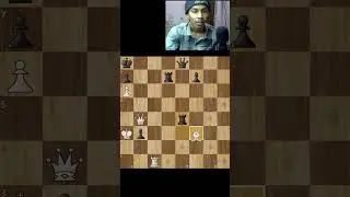 900 Elo chess puzzle , forced mate !!
