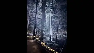 Capilano Suspension Bridge Christmas Lights 2021