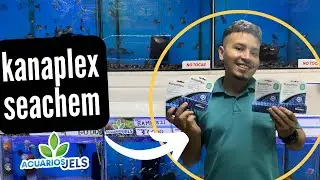 Guía práctica: Kanaplex y su papel en el tratamiento de enfermedades acuáticas