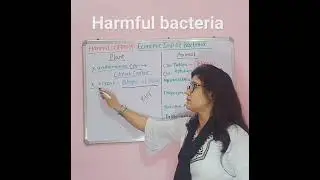 #bacteria #emrstgtscience #biology #roaro #gs #ssc #petexam #tgtscience #uppgt #biology pgt