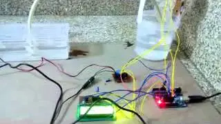 Automatic water tank filling system