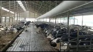 Tube ventilation in your barn: it works!