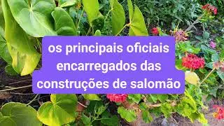 Continua&ccedil;&atilde;o, os Feitos de Salom&atilde;o, 1 Reis 9:20-28