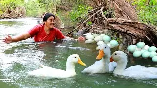 survival in forest - Catch Goose at river for dog - Cooking Goose Eggs for Dog  Eating delicious
