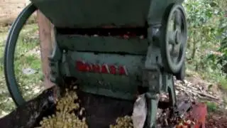 Despulpadora de Caf&eacute; BONASA