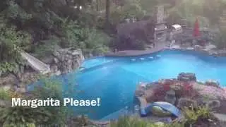 Dix Hills Heron ALERT! Deck and Patio Company