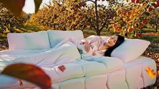 Jelly Bed ASMR | Which Bed Would You Want in Real Life? 7+ Minutes of Lying in the Most Relaxing Bed