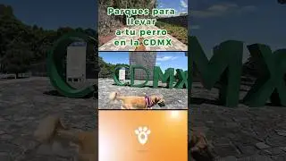 Parques para llevar a tu perro #petfriendly #perro #perros #cantera