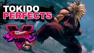 SF5 * Tokido (Akuma) PERFECTS Compilation
