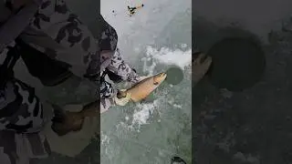 1st day Wisconsin-ICE- 2nd day Indiana-Open Water #subscribe #ice #fypシ #troutfishing #fishinglife