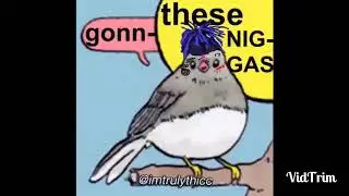 Annoyed Bird Meme Compilation