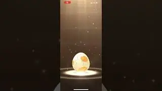 5K egg hatch