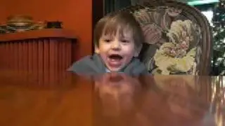 Developmental Psychology Project: Questions and Answers