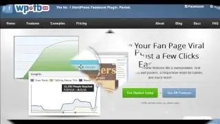 custom fan page design