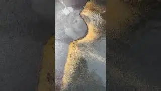 Gold 🪙 Mining ⛏️ By Hand/2025/ best short video gold work