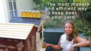 Backyard micro-farm gets pollination boost and a honey harvest in 3 months