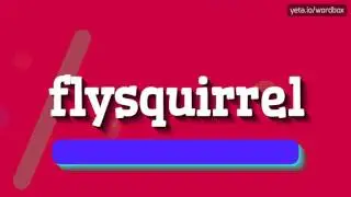 FLYSQUIRREL - HOW TO PRONOUNCE IT!?