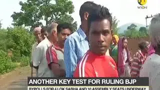 Test for BJP as bypolls for 4 Lok Sabha And 10 Assembly seats underway