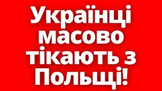 Польща приймає радикальне рішення! Чи вдасться виправити ситуацію з українцями на краще?!