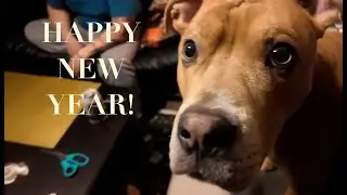 HAPPY NEW YEAR! Let's craft!