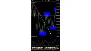 This 1 MINUTE video will change your life- The Best Forex Strategy For Beginners!!!